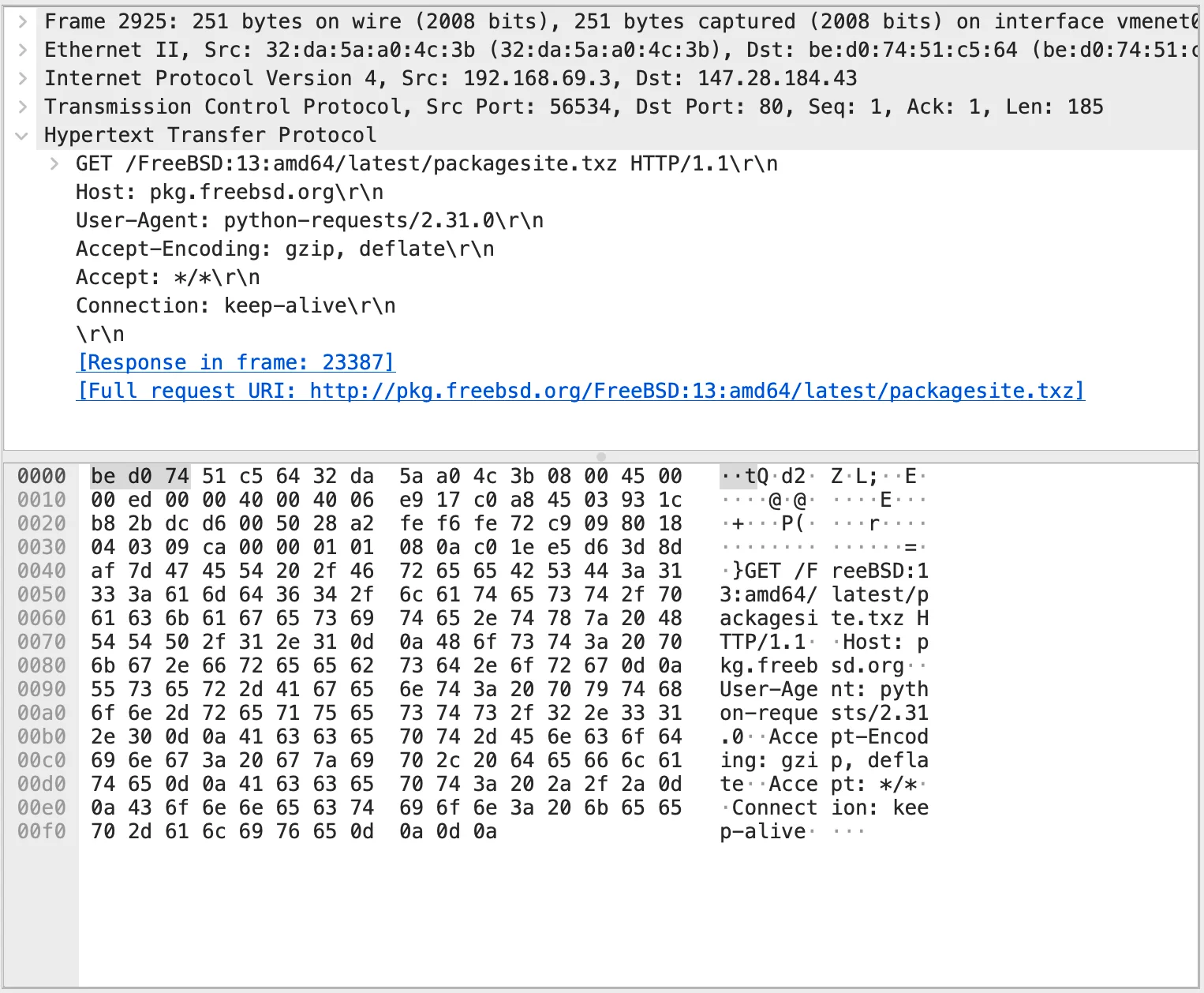 Wireshark showing the unencrypted HTTP connections.